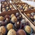 Trufas mariana bigicon